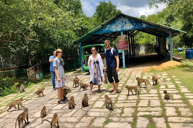 1-Day Can Gio Island-Mangrove Biosphere Reserve-Trekking - What the $85 price really covers in a 10-hour wildlife-focused day