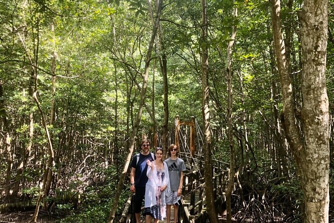 1-Day Can Gio Island-Mangrove Biosphere Reserve-Trekking - Who this tour suits best, and who should choose differently