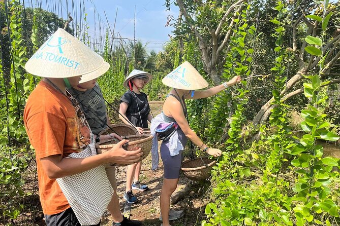1-Day Explore Non-Touristy Side Of Mekong Delta- Group 10 Max - Rowing a small sampan through nipa palm banks