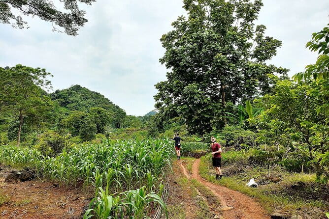 1 Day Ha Giang Loop Tour by Motorbike with Easy Rider - Loopers - Lung Tam Linen Weaving and a Lunch Built Around Local Life