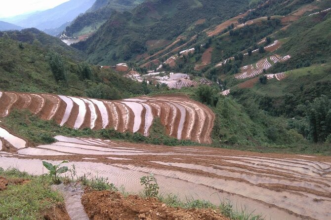 1 Day Sapa Authentic Trekking ( off beaten track ) - Private, local guides, and the pace you can plan around