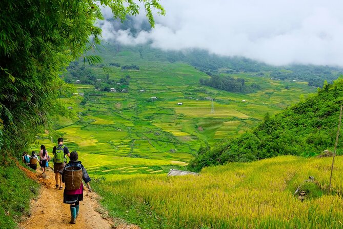 1 Day Sapa Authentic Trekking ( off beaten track ) - From Ta Phin to Suoi Ho: pine forest, rice terraces, and Hmong villages