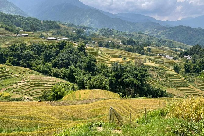 1 Day Sapa Authentic Trekking ( off beaten track ) - Lunch in a local restaurant, plus water and what to pack