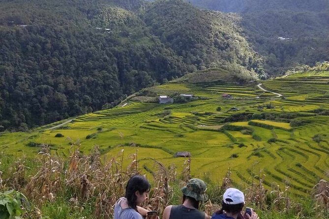 1 Day Sapa Authentic Trekking ( off beaten track ) - Price and value for $39, what’s included and what you pay extra for