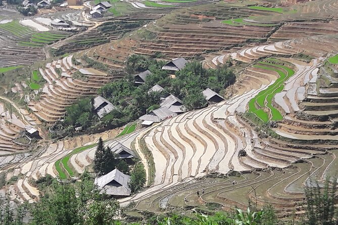 1 Day Sapa Authentic Trekking ( off beaten track ) - Who should book this trek, and who might skip it