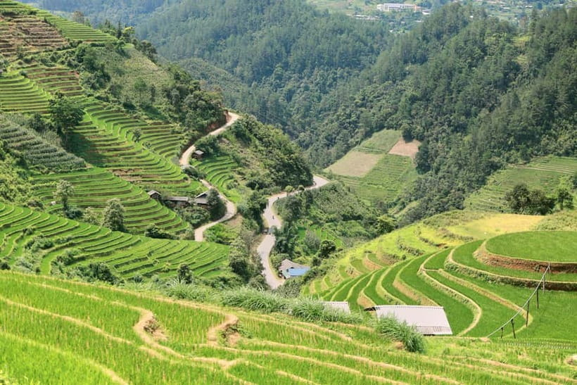 1-Day Sapa Long Trek - Rice Field Terrace, Ethnic Culture - Transport, group size, and the guide effect