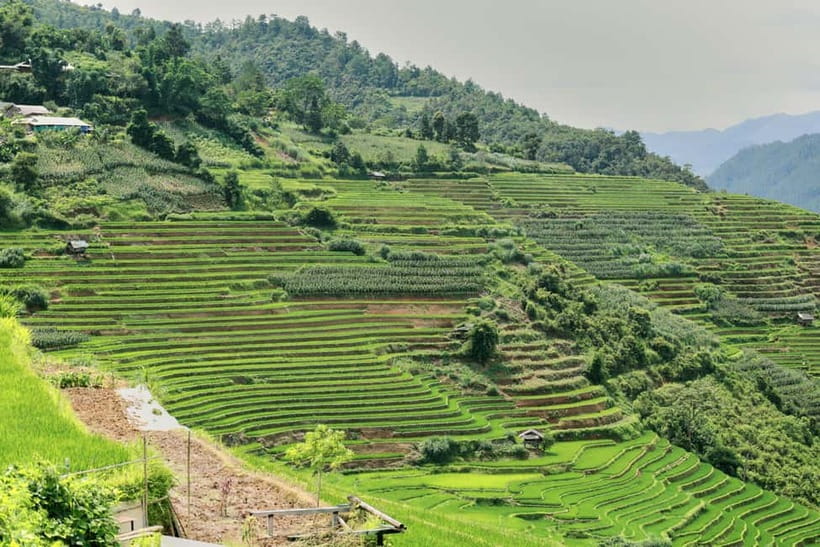 1-Day Sapa Long Trek - Rice Field Terrace, Ethnic Culture - Ta Van village around 3:00 PM, incense making in the late-day quiet