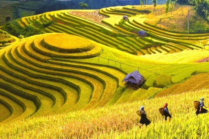 1 Day Sapa Tour Explore Y Linh Ho And Lao Chai And Ta Van Village - Meeting Time, Pickup, And Why The Day Moves Fast