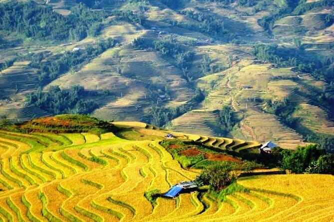 1 Day Sapa Tour Explore Y Linh Ho And Lao Chai And Ta Van Village - Stop 2, Lao Chai: Descending Into A Black Hmong Village With Big Terrace Views