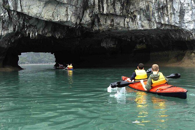 1 Day Tour to Halong Bay Cruise from 3 - 5 star Cruise & Transfer - Hang Luon Cave by kayak or bamboo boat: optional, not free, and physical