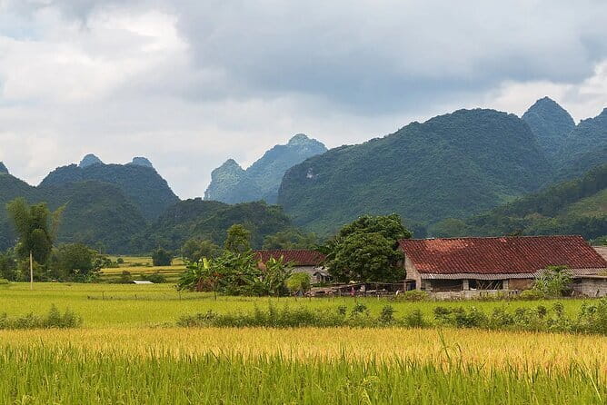12 Days in Vietnam | Cultural Exploration with Beach Escapes - Day 4-5 in Central Vietnam: Da Nang Arrival, Bay Mau Coconut Forest, and Hoi An Dusk