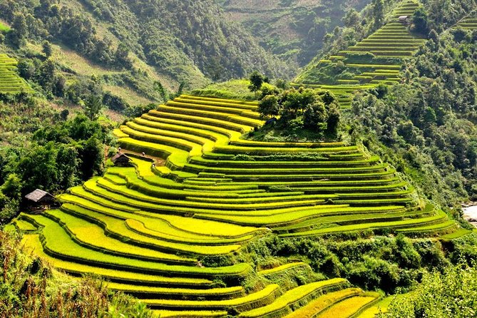 15-Day Majestic Vietnam FULL Package - 68% OFF + Bonuses - Hue in two acts: Thien Mu pagoda and the Imperial City visit