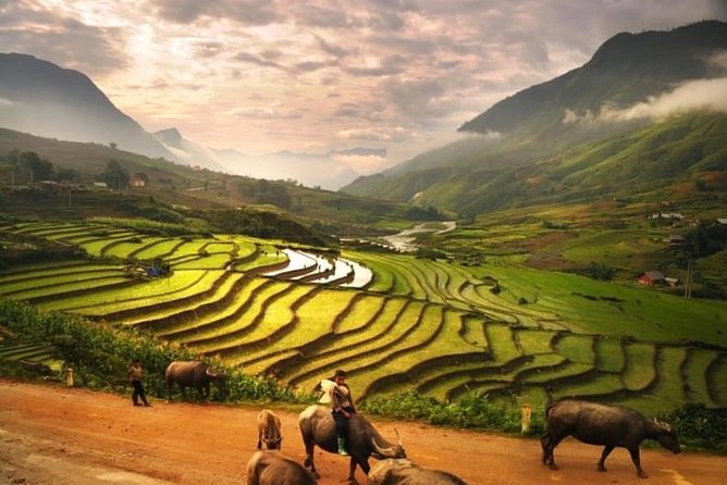 15-Day Majestic Vietnam FULL Package - 68% OFF + Bonuses - Ho Chi Minh City handoff: domestic flights and a true free day
