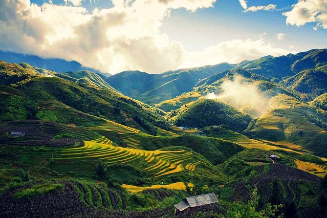 15-Day Tour to Explore Vietnam - Hue by motorbike style tour: countryside energy and market stops