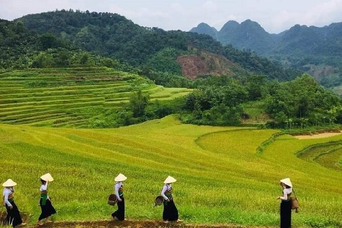15-Day Vietnam Itinerary All in One | Travel Package 2026-2027 - Price and What $1,759 Actually Buys You