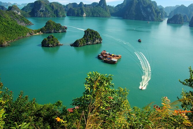 2-Day In Halong Bay Cruise With Transfer From Hanoi - Day 2: Tai Chi Start, Dark and Light Cave by Bamboo Boat, and Cave-Focused Awe