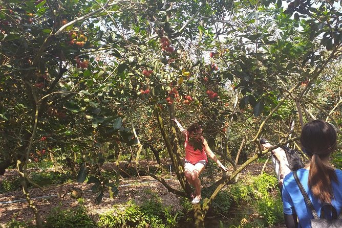 2-Day Mekong Delta with Cai Cang Floating Market from HCM City - Price and value: what $245 covers, and what to watch