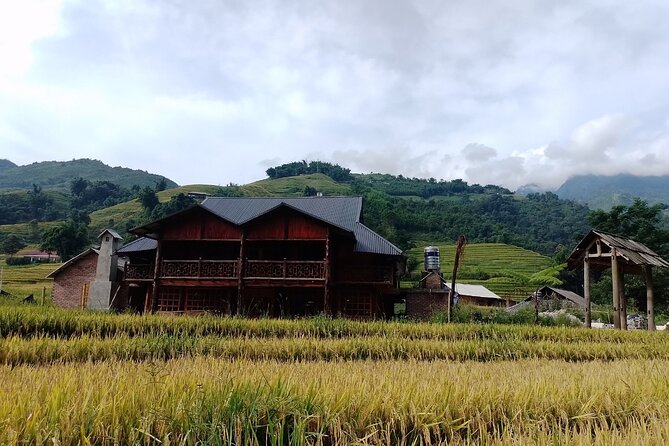 2-Day Sapa Guided Tour Slipping in Homestay From Hanoi - Muong Hoa Valley viewpoints: Sapa Ancient Stone, Hang Da, and coffee with the weather gamble