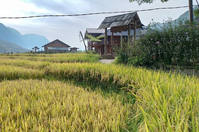 2-Day Sapa Guided Tour Slipping in Homestay From Hanoi - Day 1: O Quy Ho Pass, Silver Waterfall, and Love Waterfall on the motorbike route