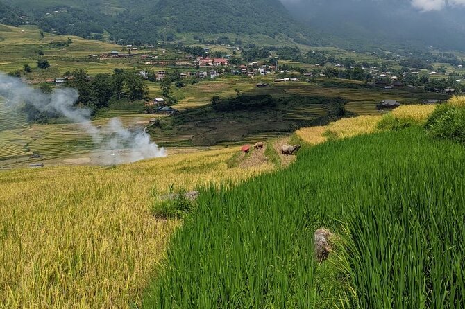 2 Day Trekking Experience: Explore with knowledgeable local guide - Day 1: Sapa to Muong Hoa Valley, The 16km Walk