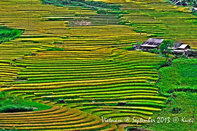 2 days authentic trekking tour in Sapa ( Homestay - Less touristy ) - The homestay night: rustic wood house comfort and real meals