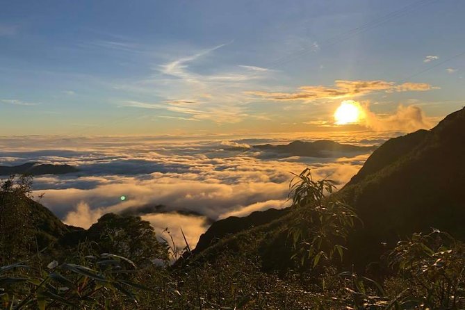2 Days Fansipan Trekking - Tram Ton Pass on Day 1: pine forest walking and real elevation