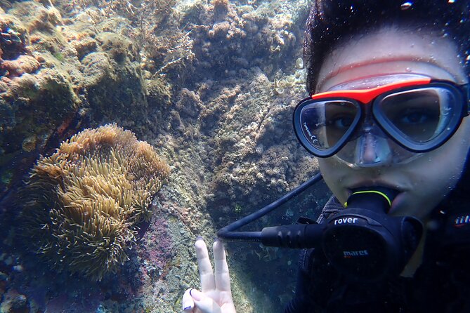 2 Fun Dives for certified Divers - Two underwater sessions: timing, pace, and what to look for