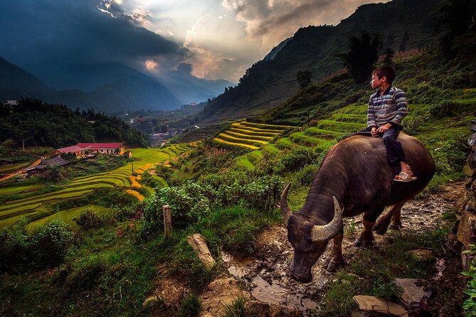 2D1N Buffalo trek by Hmong Sister House and Trekking - Day 2: Sunrise, Rice-Field Mornings, Red Dao Village, and the Way Toward a Waterfall