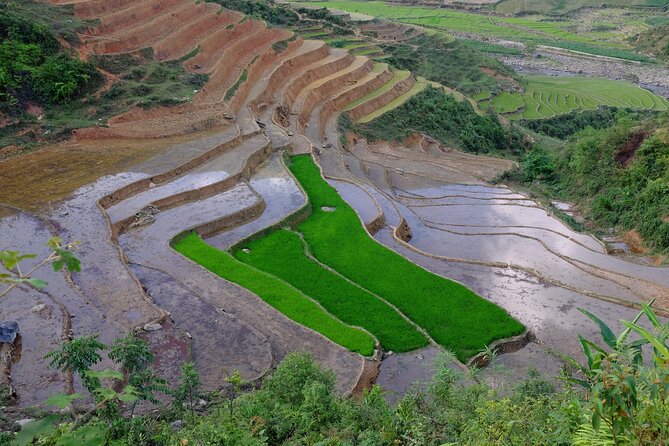 2D1N Buffalo trek by Hmong Sister House and Trekking - Day 1: Hau Thao Villages, Livestock Life, and a Cozy Homestay Reset