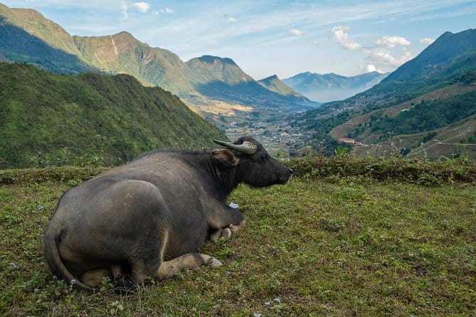 3 Day 2 Night Trek - Day One: Y Linh Ho to Lao Chai, then Ta Van Sunset