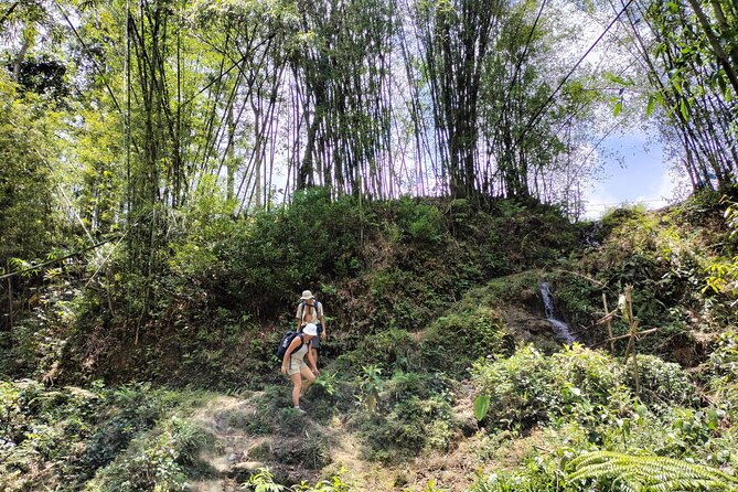 3-Day Trek in Amazing Muong Hoa Valley & ethnic Homestay - English-Speaking Guide, Small Group, Real-World Pace
