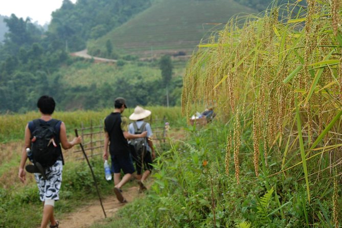 3-Day Trek in Amazing Muong Hoa Valley & ethnic Homestay - Day 1 to Lao Chai: First Trek Step into Hmong Country