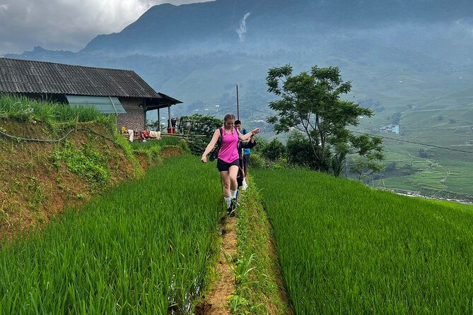 3-Day Trek in Amazing Muong Hoa Valley & ethnic Homestay - Day 3 in Ban Ho Valley: Sunrise Time to Nam Tong Village