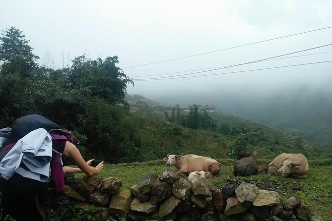 3-Day Trek in Amazing Muong Hoa Valley & ethnic Homestay - Getting the Most Out of the Trek, Without Making It Harder