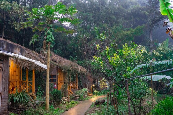 3-Day Trekking Adventure of Sapa from Hanoi - Stay Ta Van Village - Hanoi to Sapa, handled: pickup, bus comfort, and no map stress