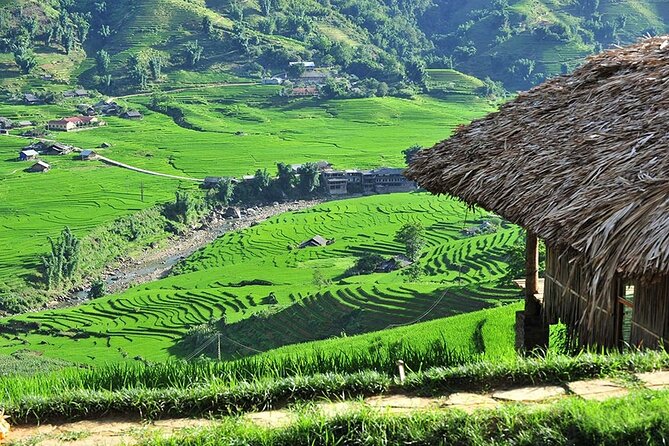3-Day Trekking Adventure of Sapa from Hanoi - Stay Ta Van Village - Homestay and meals: what is included and why it matters