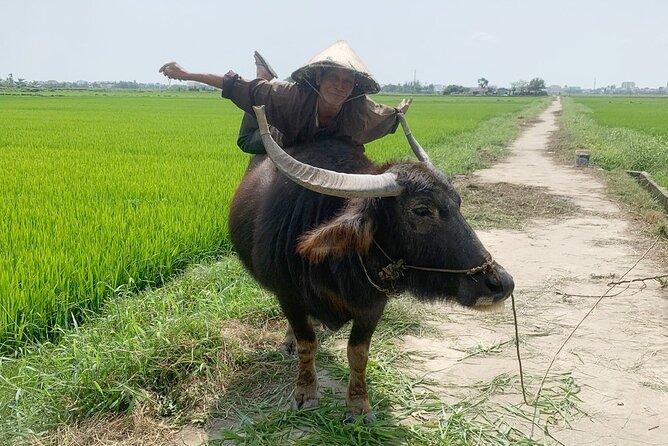 3 Hours Hoi An Countryside Bicycle Tour - Mr Quy and the calm, safety-first style of a small-group ride