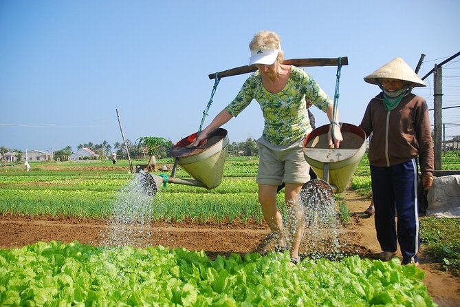 3 Hours Hoi An Countryside Bicycle Tour - Tra Que Vegetable Village: where herb farming becomes a walkable view
