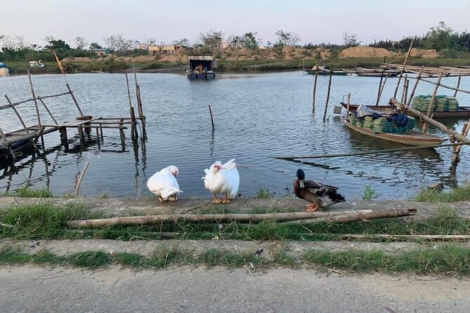 3 Hours Motorbike Tour in Hoi An Countryside. - Price Check: Is $51.24 Good Value for 3 Hours?