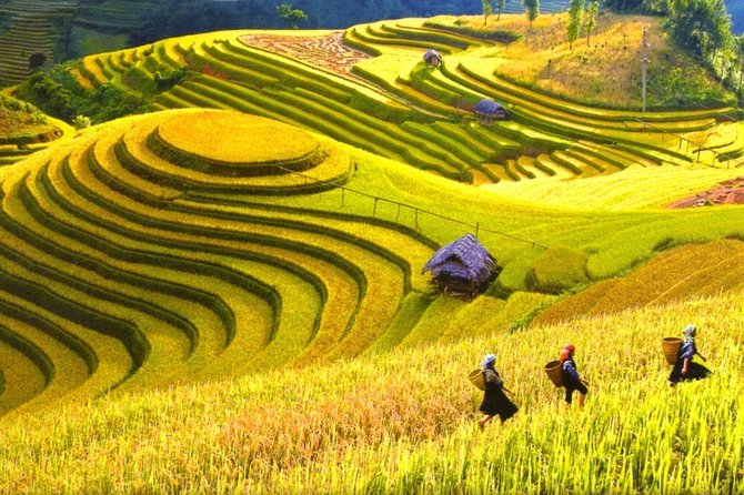 3-Night Sapa Trek and Homestay with Round Trip Transfer from Hanoi - Overnight train Hanoi to Lao Cai: the part that makes it feel easy
