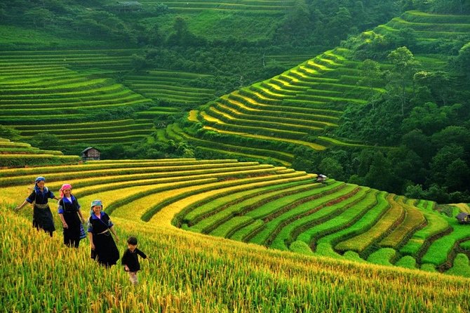 3-Night Sapa Trek and Homestay with Round Trip Transfer from Hanoi - Day 2 trekking from Giang Ta Chai toward hill-tribe villages