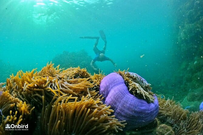4 Islands & 2 Reefs - Discovery Snorkeling & Relaxing (MAX 12) - Key highlights to know before you go