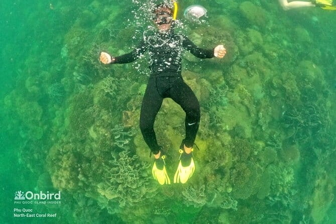 4 Islands & 2 Reefs - Discovery Snorkeling & Relaxing (MAX 12) - How the day is timed: morning or afternoon based on water and light
