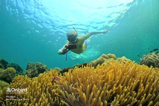 4 Islands & 2 Reefs - Discovery Snorkeling & Relaxing (MAX 12) - Between reefs: island hopping and why conditions change the experience