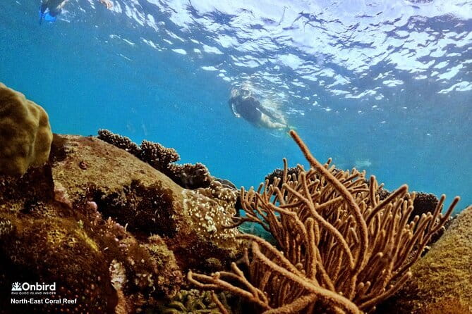 4 Islands & 2 Reefs - Discovery Snorkeling & Relaxing (MAX 12) - Beach break: fruit, juice, snacks, and actually resting
