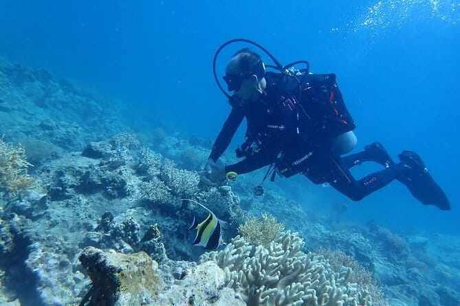 4 Islands & 2 Reefs - Discovery Snorkeling & Relaxing (MAX 12) - Safety and comfort: why the guide team matters in the water