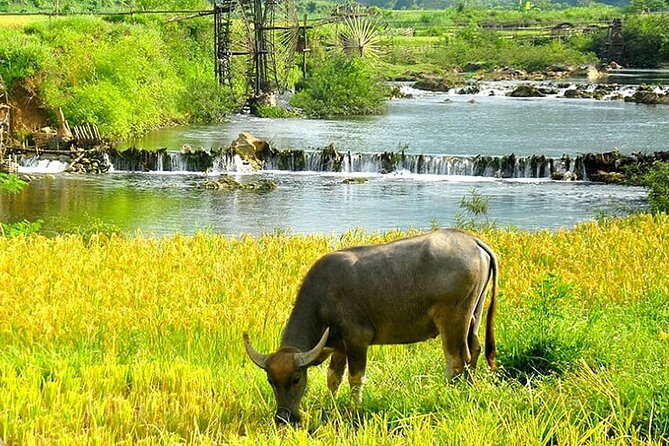 5, 6, 7 day Vietnam Itinerary | Charming | 2026 Northern Packages - Small-group Hanoi start, pickup, and the “first impression” day
