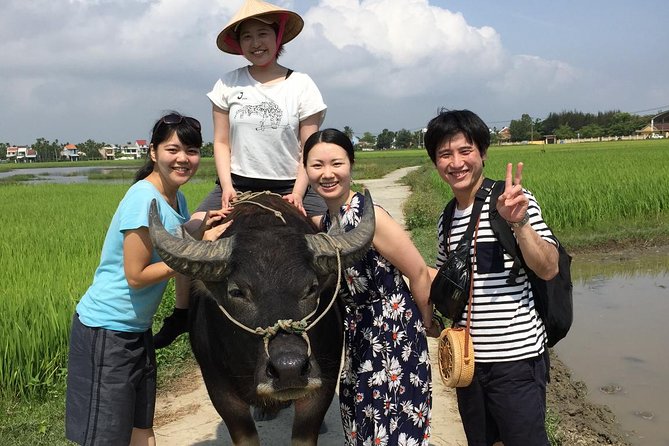 5-Hour Discovery Countryside by Cycling, Buffalo and Basket Boat - Rowing a bamboo basket boat in the water palm paradise