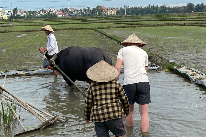 5-Hour Discovery Countryside by Cycling, Buffalo and Basket Boat - Price, what’s included, and what to bring for a smooth day
