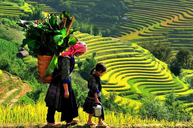 7 Days Vietnam Travel (Hanoi- Ninh Binh - Sapa - Ha Long) - Fansipan day trip: the cable car costs extra, but the altitude is the point